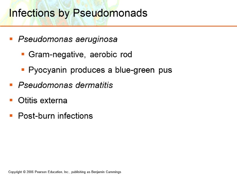 Infections by Pseudomonads Pseudomonas aeruginosa Gram-negative, aerobic rod Pyocyanin produces a blue-green pus Pseudomonas